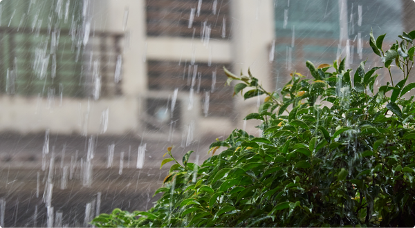 2-Nov-03-2025-06-27-43-0454-PM