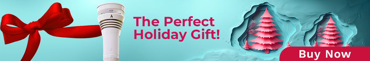 Tempest holiday banner