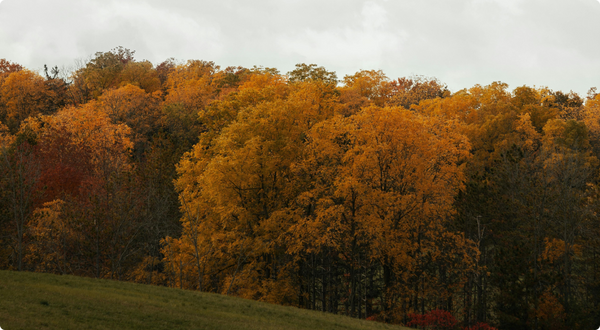 3-Nov-03-2025-06-27-43-1131-PM