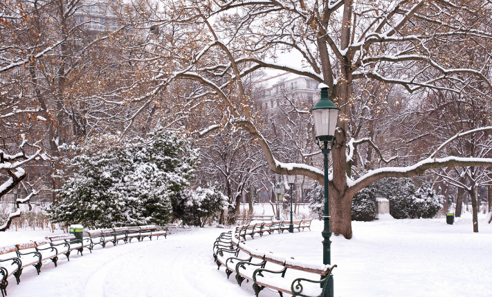 snow covered benches and street light in park