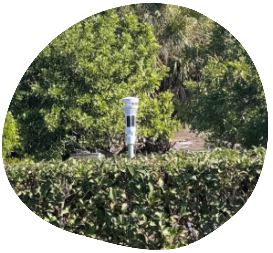 Tempest In The Elements, Jan 2026