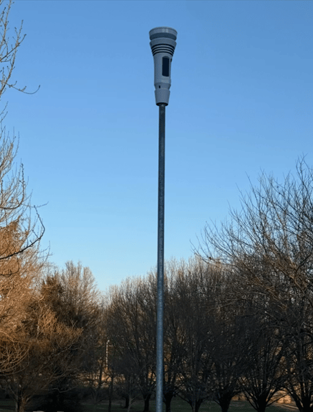 TempestintheElementsRichardW